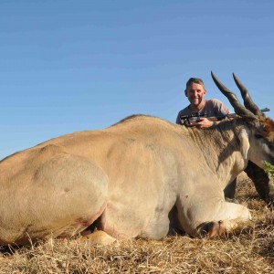 Massive Eland Bull