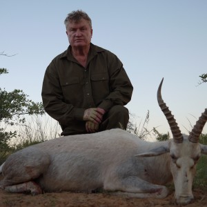 White Blesbuck hunt with Wintershoek Johnny Vivier Safaris