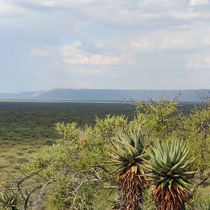 Waterberg Plateau Namibia