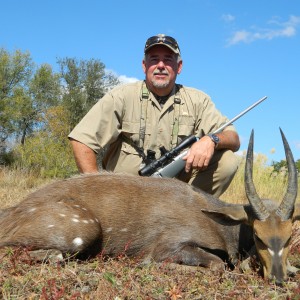 Bushbuck