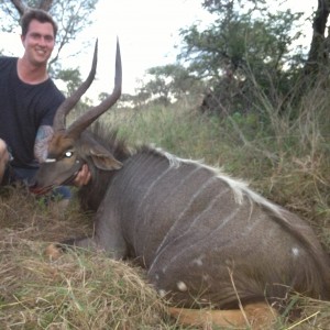 Nyala