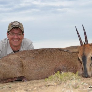 2013 Grey Duiker