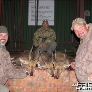 A good evening hunting Bushbuck