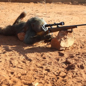 Sniper Baboon