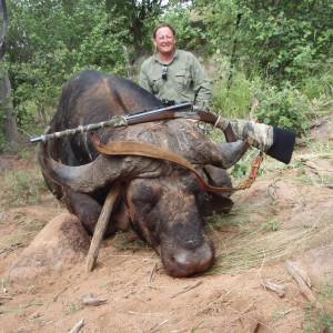 Buffalo Sengwe 1 Big Game Area Zimbabwe