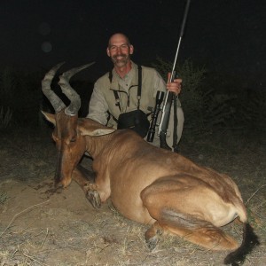 22" Red Hartebeest