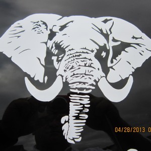Elephant Decal Stickers