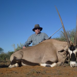 41" Oryx Cow