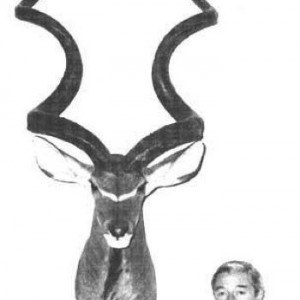 Record Kudu