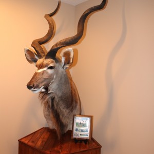 Kudu