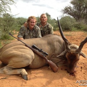 Eland-youngster