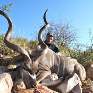 Greater Kudu - 56"