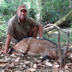 Harnessed Bushbuck hunt with CAWA in CAR