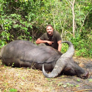 Buffalo hunt with CAWA in CAR