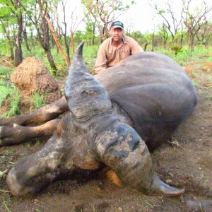 Buffalo hunt with CAWA in CAR