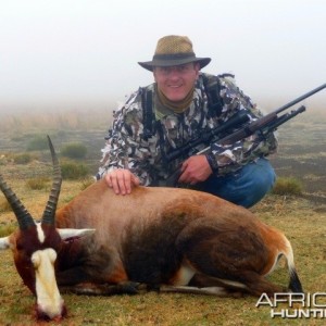 Blesbok