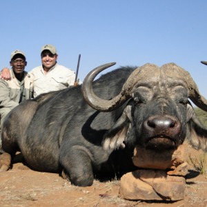 Buffalo hunt with Wintershoek Johnny Vivier Safaris