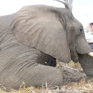 Elephant hunt with Wintershoek Johnny Vivier Safaris