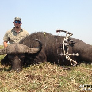 Buffalo Mozambique