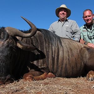 Blue Wildebeest hunt with Wintershoek Johnny Vivier Safaris