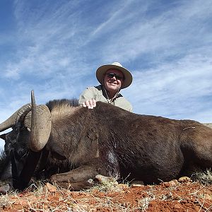 Black Wildebeest hunt with Wintershoek Johnny Vivier Safaris