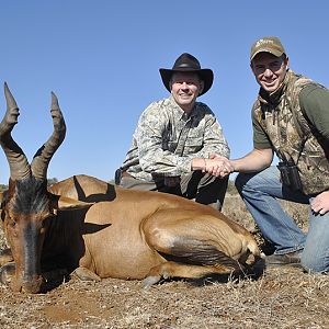 Hartebeest hunt with Wintershoek Johnny Vivier Safaris