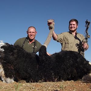 Ostrich hunt with Wintershoek Johnny Vivier Safaris