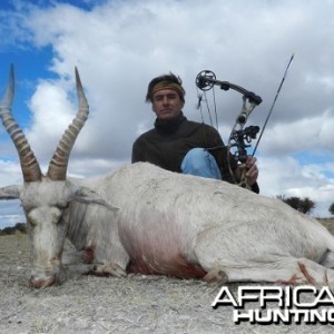 White Blesbok hunt with Wintershoek Johnny Vivier Safaris