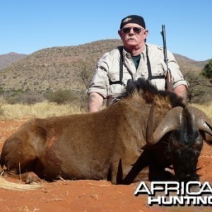 Black Wildebeest hunt with Wintershoek Johnny Vivier Safaris