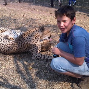 Cheetah & Tyler