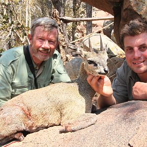 Klipspringer