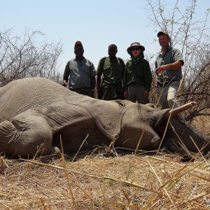 First bull - Zimbabwe October 2013