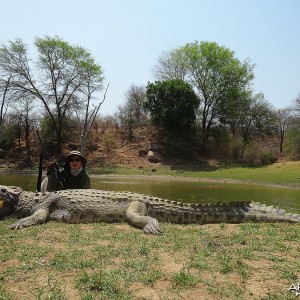 14' 1" croc - Zimbabwe October 2013