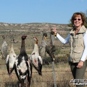 Bird Hunting in Stormberg