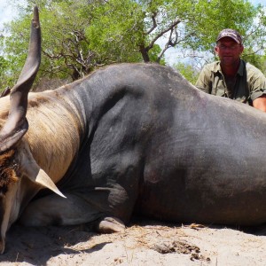 Old worn down East African Eland