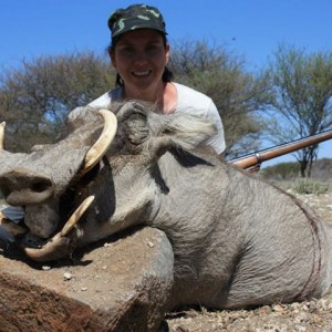Warthog - Namibia