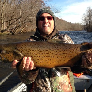 Fall Brown Trout