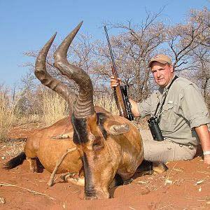 Red Hartebeest ~ Limpopo Valley, RSA