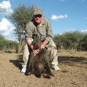 Chacma Baboon hunted with Ozondjahe Hunting Safaris in Namibia
