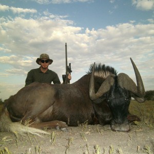 Black Wildebeest hunted with Ozondjahe Hunting Safaris in Namibia