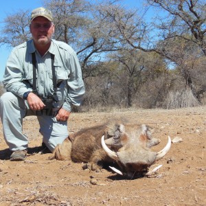 Warthog hunted with Ozondjahe Hunting Safaris in Namibia