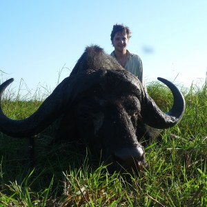 Buffalo Mozambique