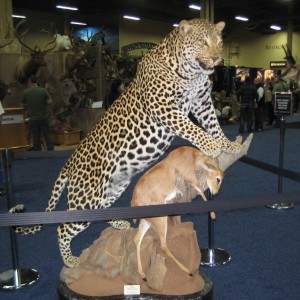 Taxidermy at Safari Club International Convention