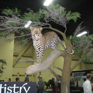 Taxidermy at Safari Club International Convention