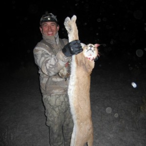 Caracal Namibia