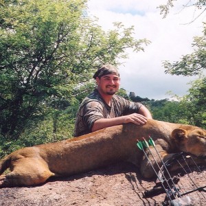 lowveld lioness with bow