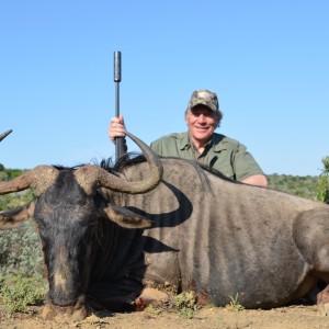 Blue Wildebeest KMG Hunting Safaris