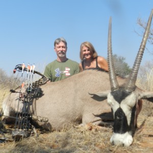 Gemsbok