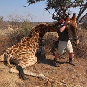 Bull Giraffe Namibia 2012