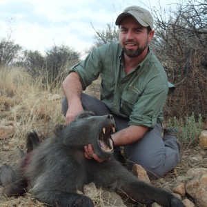 Namibia 2012  Baboon